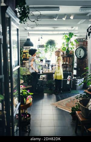 Femmes travaillant dans un atelier de design d'intérieur Banque D'Images