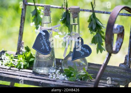 Woodruff doux (Galium odoratum), sirop de Woodruff doux, Allemagne Banque D'Images