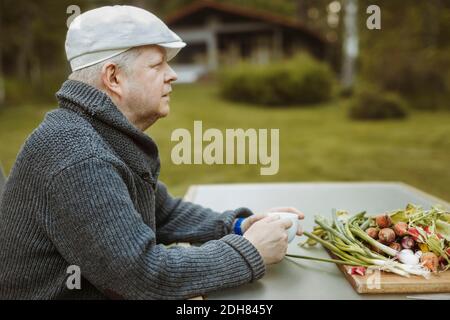 Vue latérale d'un homme mûr assis à une table et fraîchement préparé légumes récoltés Banque D'Images