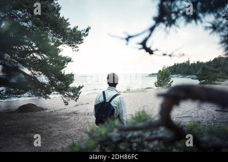 Vue arrière d'un homme se tenant sur le bord du lac Banque D'Images