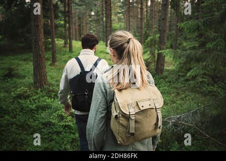 Vue arrière du couple merveilleux marchant dans la forêt Banque D'Images