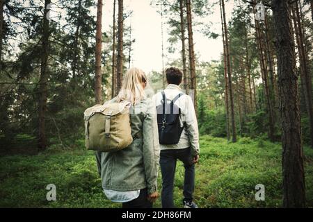 Vue arrière d'un couple portant des sacs à dos tout en marchant dans la forêt Banque D'Images