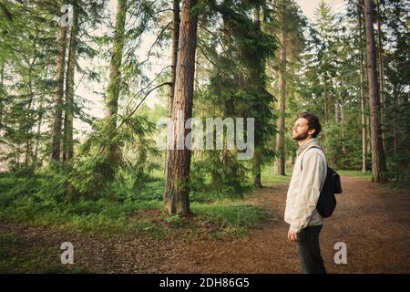 Vue latérale de l'homme qui regarde loin en se tenant dans la forêt Banque D'Images