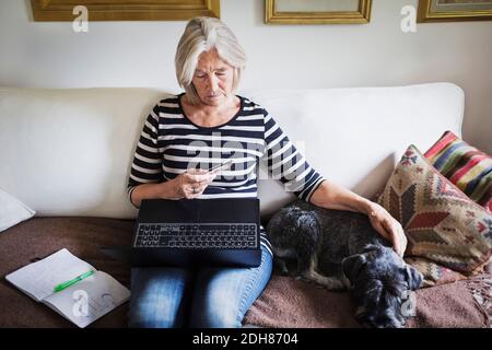 Femme âgée utilisant une carte de crédit et un ordinateur portable tout en faisant un chien de chasse sur le canapé Banque D'Images