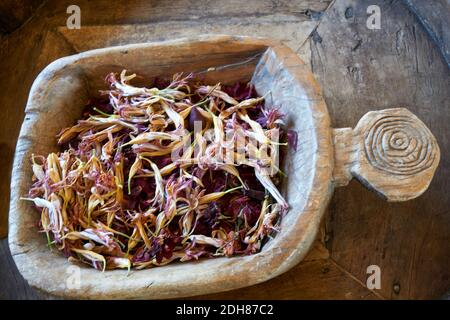 Arrangement de fleurs séchées dans un cas vintage Banque D'Images