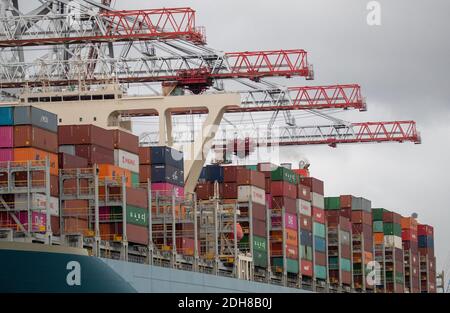 Vue générale des conteneurs à bord du navire à conteneurs MOL Treasure lors de son amarrage au terminal à conteneurs DP World à Southampton Docks. Banque D'Images