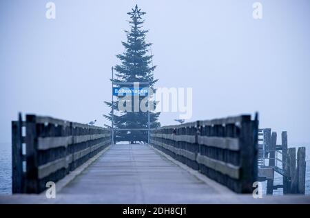 Boltenhagen, Allemagne. 10 décembre 2020. Un sapin de Noël se dresse dans le brouillard sur la jetée de la côte Baltique. En raison du verrouillage partiel de la couronne, les hôtels, les restaurants et les installations touristiques sur la côte de la mer Baltique dans le Mecklembourg-Poméranie-Occidentale sont fermés. Credit: Jens Büttner/dpa-Zentralbild/dpa/Alay Live News Banque D'Images