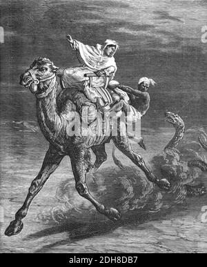 Carla Serena (1824-84) alias Caroline Hartog Morgensthein Solo Femme Belge Voyageur en Afrique du Nord quand Camel attaqué par le serpent géant (1870s) (Engr 1880) Vintage Illustration ou gravure Banque D'Images