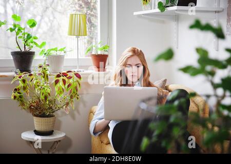 Femme utilisant un ordinateur portable en étant allongé sur une chaise longue à la maison Banque D'Images