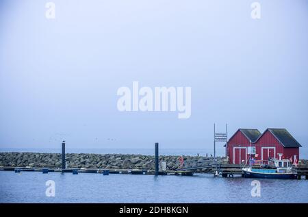 Boltenhagen, Allemagne. 10 décembre 2020. Deux petites cabanes en bois rouge des pêcheurs se trouvent dans le brouillard du port de pêche de la mer Baltique. En raison du verrouillage partiel de la couronne, les hôtels, les restaurants et les installations touristiques sur la côte de la mer Baltique dans le Mecklembourg-Poméranie-Occidentale sont fermés. Credit: Jens Büttner/dpa-Zentralbild/dpa/Alay Live News Banque D'Images