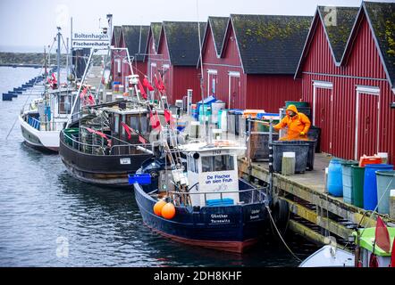 Boltenhagen, Allemagne. 10 décembre 2020. Un pêcheur trie un de ses filets de pêche dans un petit port de pêche sur la mer Baltique. En raison du verrouillage partiel de la couronne, les hôtels, les restaurants et les installations touristiques sur la côte de la mer Baltique dans le Mecklembourg-Poméranie occidentale sont fermés. Credit: Jens Büttner/dpa-Zentralbild/dpa/Alay Live News Banque D'Images
