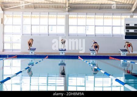 Les nageurs plongent dans la piscine Banque D'Images