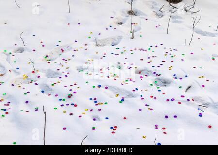 Les confettis de Noël sont dispersés à travers la glade enneigée. La photo a été prise dans la forêt de la ville de Chelyabinsk. Banque D'Images