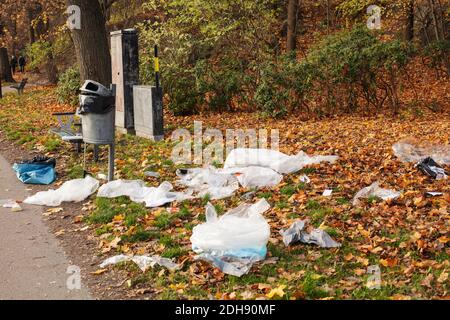 Vue en grand angle des déchets de plastique éparpillé dans le parc pendant automne Banque D'Images