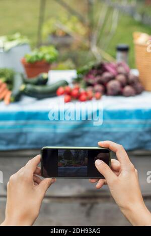 Image rognée d'une femme photographiant des légumes fraîchement récoltés sur une table au jardin urbain Banque D'Images