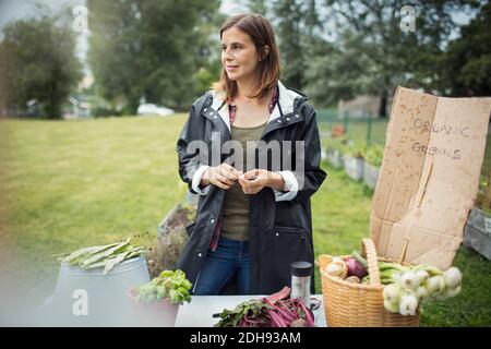 Femme adulte de taille moyenne debout près de légumes fraîchement récoltés sur la table au jardin urbain Banque D'Images