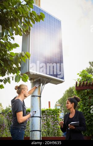 Architectes de jardin masculins et féminins discutant par panneau solaire Banque D'Images