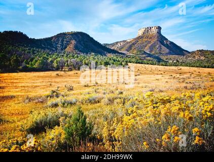 De vastes prairies commencent à céder la place aux mesa's et aux buttes du parc national de Mesa Verde, Colorado. Banque D'Images
