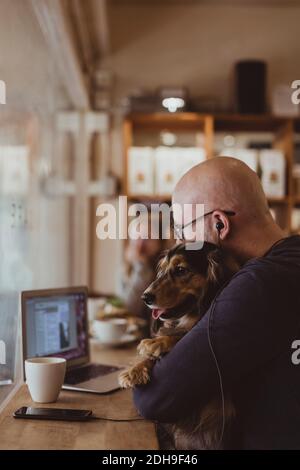Chauve homme assis avec un chien tout en utilisant un ordinateur portable au café Banque D'Images
