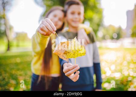 Heureux jumeaux adolescents garçon et fille posant s'embrassant les uns les autres en automne parc tenant les feuilles jaunes tombées dans la main une belette ensoleillée Banque D'Images