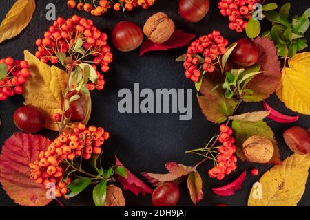 Modèle de conception d'arrière-plan d'automne avec châtaignes et feuilles d'automne, tourné d'en haut avec espace de copie Banque D'Images