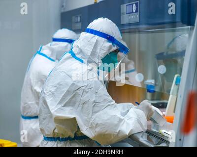 (201210) -- CHENGDU, 10 décembre 2020 (Xinhua) -- le personnel médical traite les échantillons prélevés pour les tests COVID-19 dans un laboratoire de test d'acide nucléique de l'hôpital de médecine traditionnelle chinoise du district de Pidu, dans le district de Pidu, à Chengdu, capitale de la province du Sichuan, dans le sud-ouest de la Chine, le 10 décembre 2020. Chengdu a signalé une augmentation nulle des nouveaux cas de COVID-19 transmis au pays et des cas asymptomatiques entre 9 h mardi et 6 h mercredi, tandis que les tests d'acide nucléique à l'échelle de la ville se poursuivent, ont déclaré les autorités locales. À l'hôpital du district de Pidu de médecine traditionnelle chinoise, les travailleurs médicaux l'ont été Banque D'Images