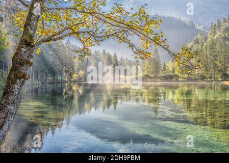 La belle vue de Pyhrn-Priel avec la brume qui s'émisse au-dessus de la l'eau et les arbres de la forêt se reflétaient sur la photo surface Banque D'Images