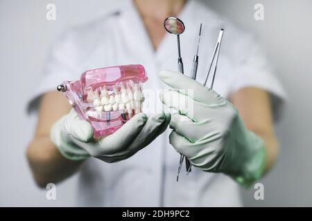 dentiste tenant le modèle de dents de mâchoire et les outils dentaires dans les mains Banque D'Images