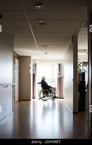 Vue latérale d'un homme âgé assis en fauteuil roulant à couloir de l'hôpital Banque D'Images