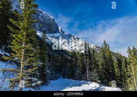 Sentier de montagne couvert de neige dans la forêt en hiver, jour ensoleillé le matin. Grassi Lakes Trail, Canmore, Alberta, Canada. Banque D'Images