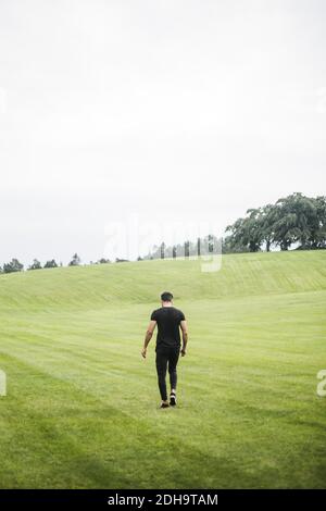 Vue arrière du jeune homme marchant sur le terrain agricole contre ciel Banque D'Images