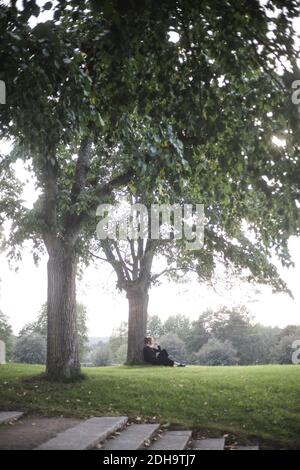 Vue latérale d'une jeune femme assise près du tronc d'arbre champ contre ciel Banque D'Images