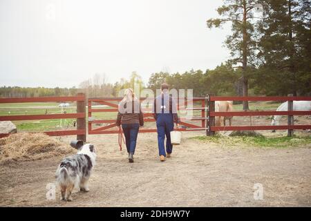 Vue arrière du couple mûr marchant vers la porte dans la ferme Banque D'Images