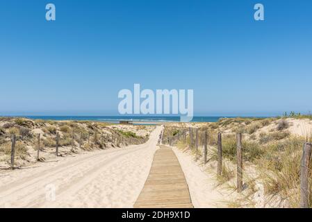 Baie d'Arcachon, France. Accès à la plage près de la dune de Pilat Banque D'Images