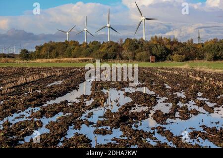 Les inondations frappent énormément les agriculteurs. Le pronostic de l'avenir n'est pas bon à cause du changement climatique. Banque D'Images