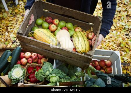 Vue en grand angle de l'homme debout avec le panier de légumes arrière-cour Banque D'Images