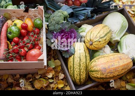 Vue en grand angle des légumes frais dans le panier à cour Banque D'Images