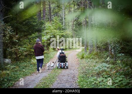 Vue arrière de jeune homme gardien avec femme handicapé et chien en forêt Banque D'Images