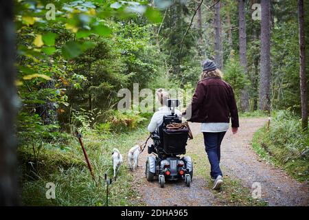 Vue arrière du gardien mâle avec femme et chien handicapés en forêt Banque D'Images