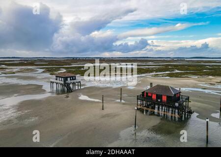 Chalets sur piloti à l'île des oiseaux, baie d'Arcachon, Aquitaine, France Banque D'Images