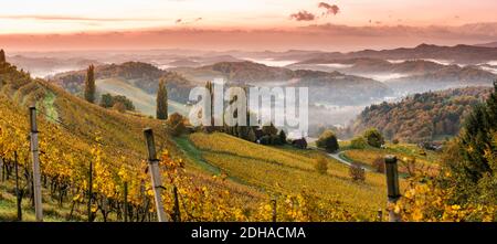 Paysage de vignobles de styrie du Sud, Toscane de l'Autriche. Lever du soleil en automne. Banque D'Images
