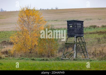 Les chasseurs en bois, assise haute tour de chasse Banque D'Images