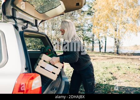 Vue latérale d'une caisse de chargement pleine d'éléments organiques pour femme mûre légumes dans le coffre de voiture Banque D'Images