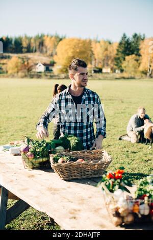 Homme adulte moyen vendant des légumes biologiques sur la table à l'agriculteur marché Banque D'Images