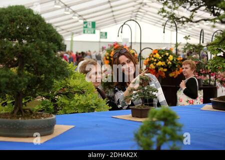 Ayr Flower Show 2016, Ayrshire, Écosse, Royaume-Uni. Le spectacle floral annuel avec expositions, divertissements, entrées pour enfants, artisanat. Femme attrayante avec une mère regardant Bonsai Banque D'Images