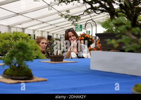 Ayr Flower Show 2016, Ayrshire, Écosse, Royaume-Uni. Le spectacle floral annuel avec expositions, divertissements, entrées pour enfants, artisanat. Femme attrayante avec une mère regardant Bonsai Banque D'Images