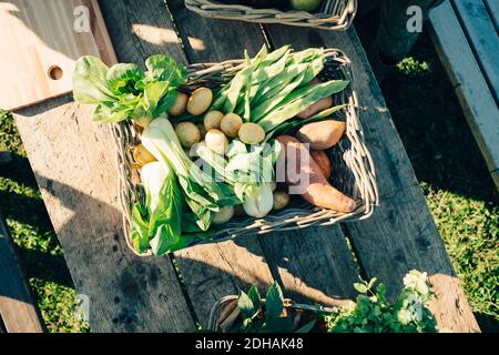 Directement au-dessus de la dose de légumes frais biologiques dans le panier au marché agricole Banque D'Images