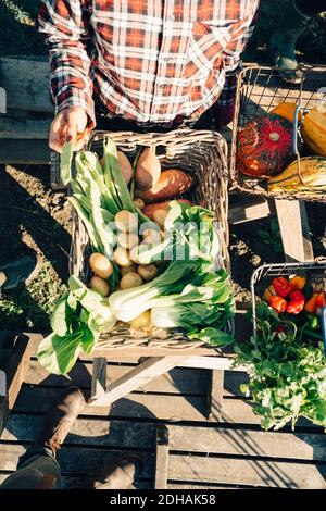 Directement au-dessus de la prise de ferme féminine vendant des légumes biologiques frais sur le marché Banque D'Images