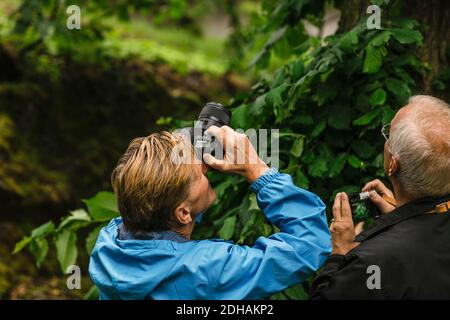 Des amis masculins expérimentés photographiant l'arbre à travers l'appareil photo pendant le cours de photographie Banque D'Images