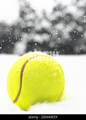 Tennis boule de Noël sur la neige sur fond d'arbres de Noël, et chutes de flocons de neige. Concept de la couleur de l'année 2021 avec des couleurs vives et lumineuses de jaune et de gris, vue avant, mise au point sélective. Banque D'Images